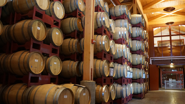 Wine Being Aged in Barrels