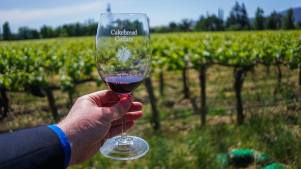 tasting at Cakebread Cellars