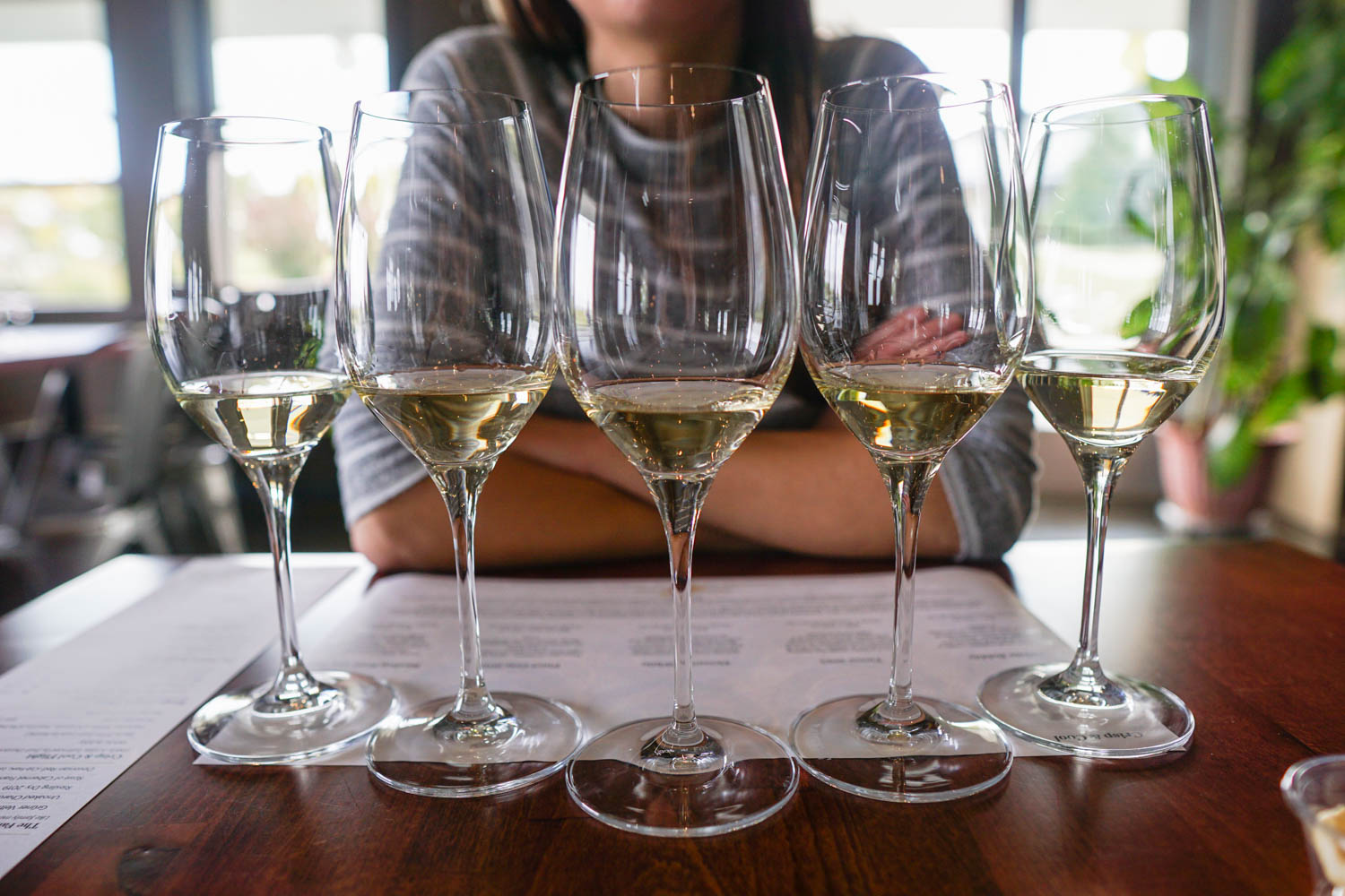 Standard White Wine Glasses