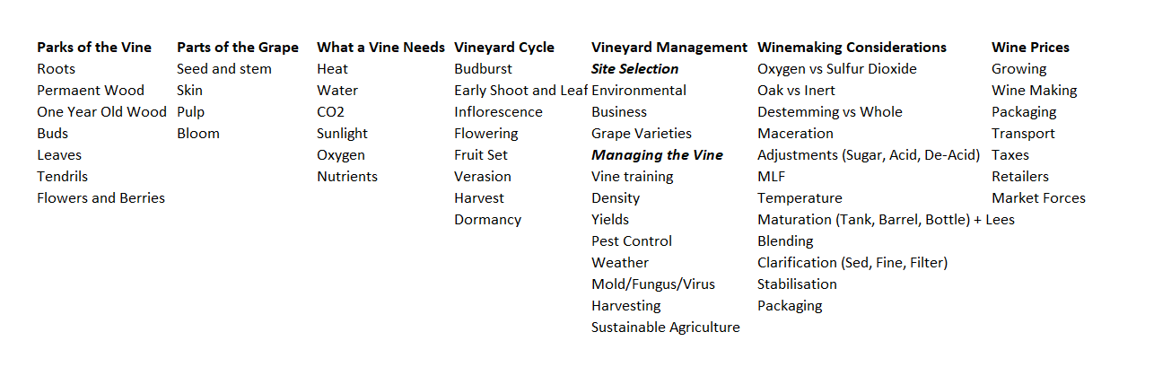 wset level 3 sample essay questions