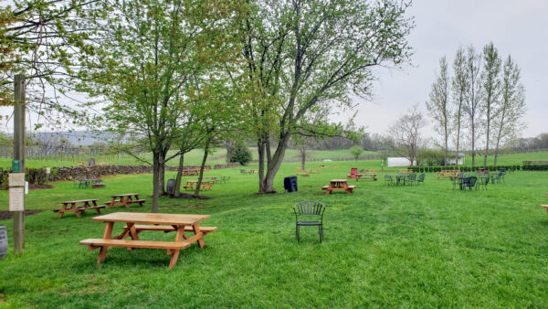 Outdoor Seating at 868 Estate Winery