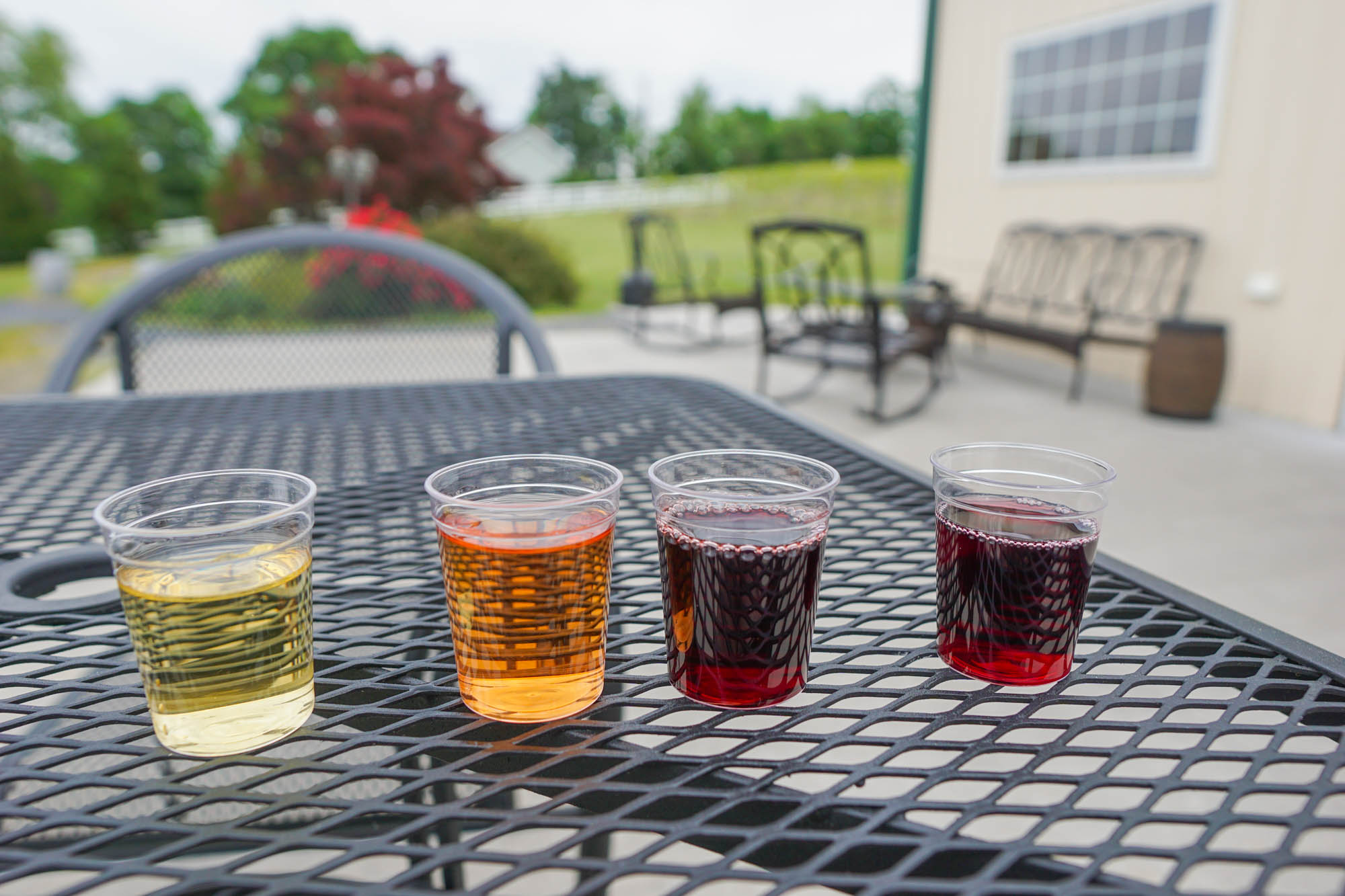 Tasting Flight in Plastic Cups