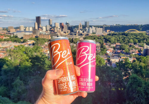 Bev Wines Review – Canned Wine Best For Sipping Outside