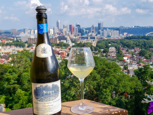Hamilton Russell Chardonnay 2019 Review – A Gem From South Africa
