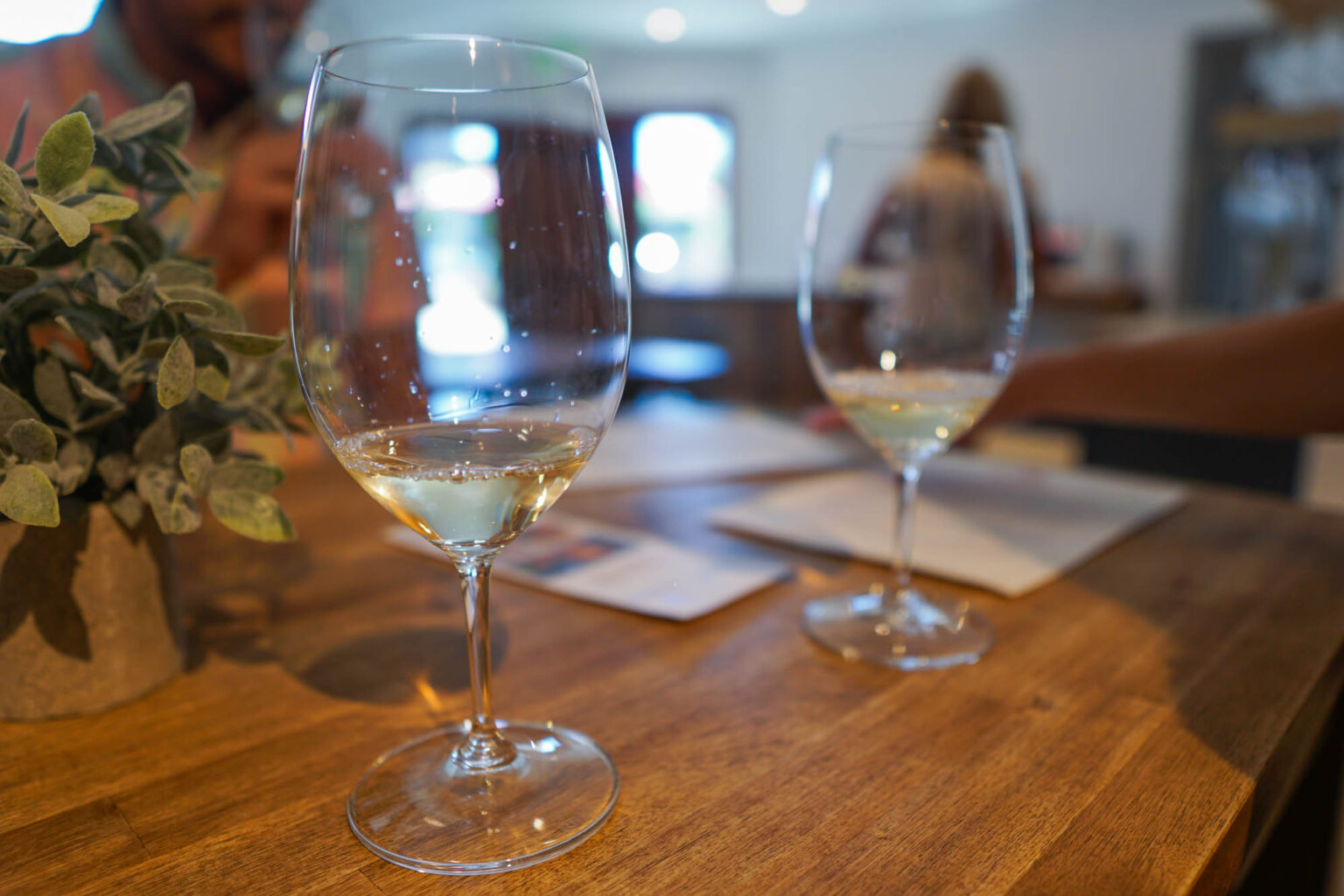 WSET Diploma D1 Review A Quick, Intense Dive into Winemaking