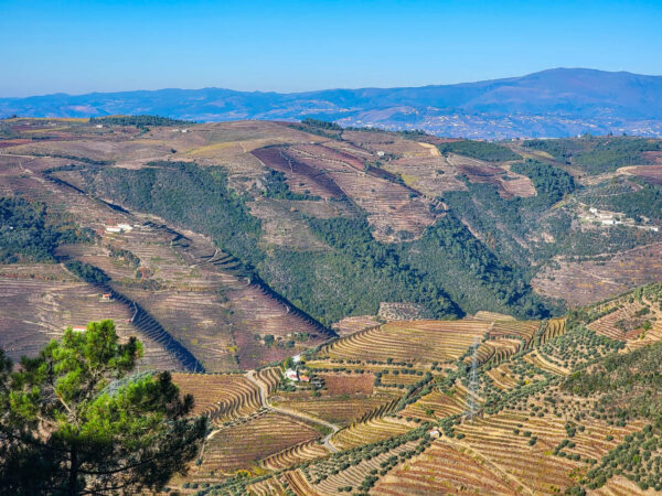 The Scale of the Douro Valley Cannot Be Understood in Photos