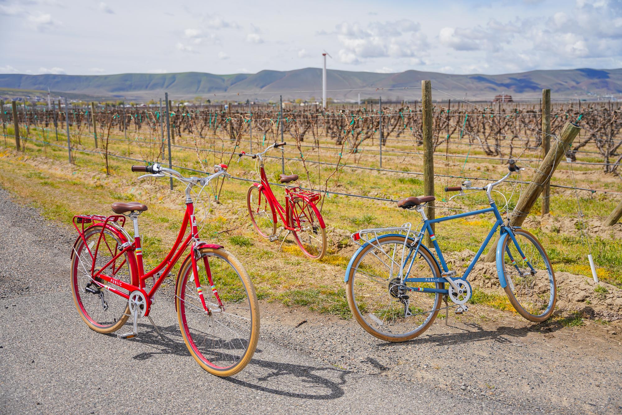 Biking is a Fun Wine Activity