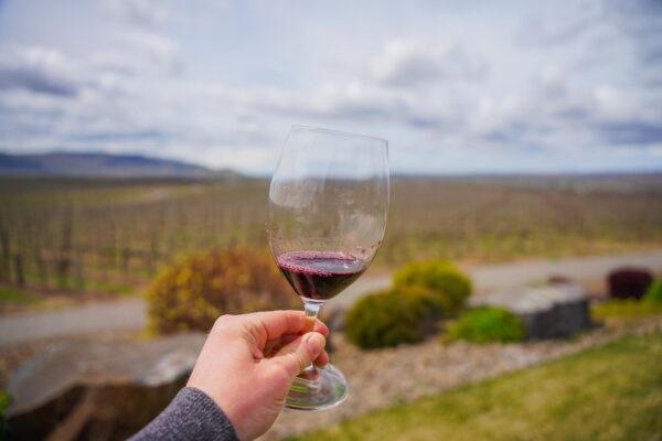 Biking to Wineries in Washington