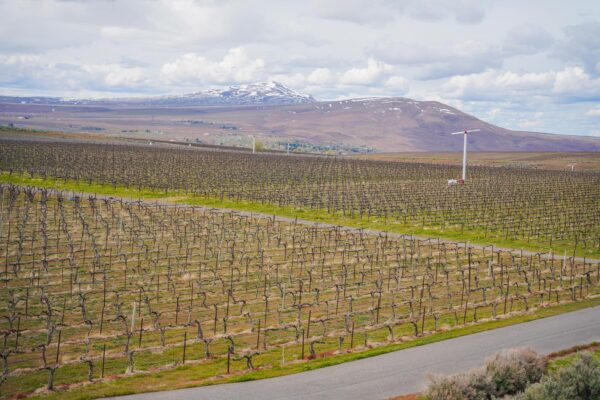 View from Kiona VIneyards