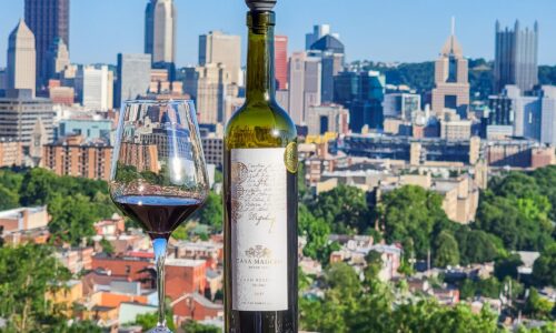 Casa Madero Gran Reserva Shiraz 2017 Review – Intense Mexican Red