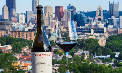 Taboadella 1255 Alfrocheiro Reserva 2019 Review