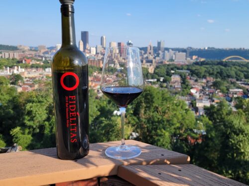 Fidelitas Merlot 2018 Review – A Solid Red from Washington