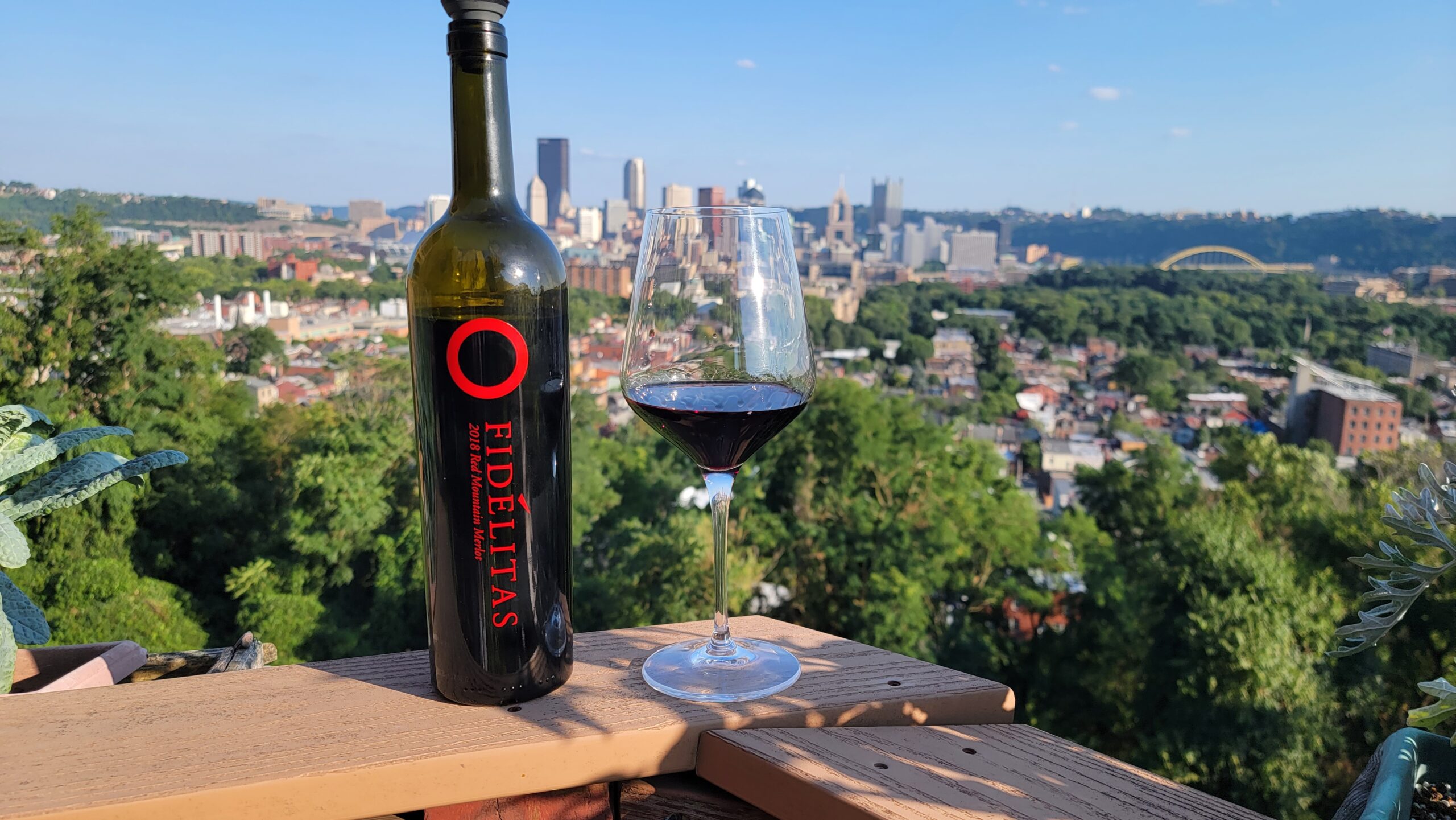 Fidelitas Merlot 2018