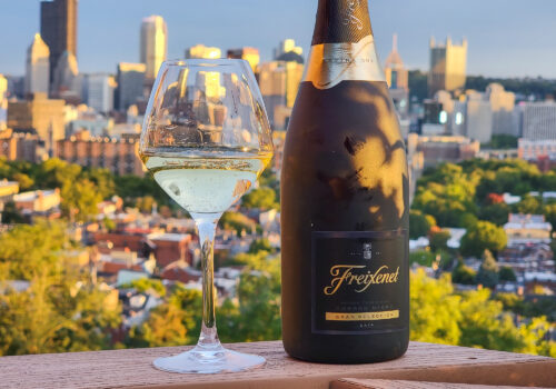 Freixenet Cordon Negro Gran Seleccion NV Review – A Mild Cava