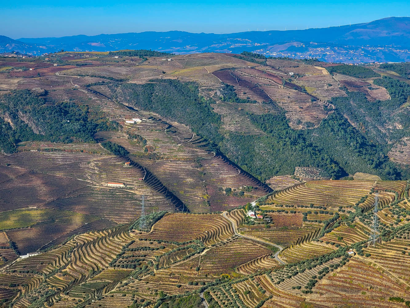 Douro Valley, Portugal