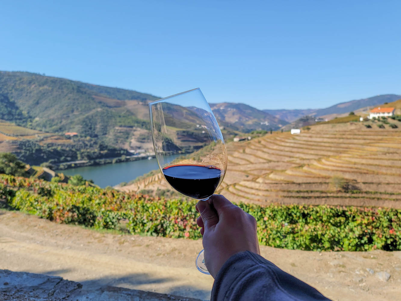 douro valley wine tour reddit