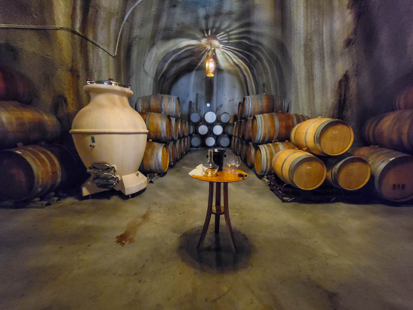 Cellar Wine Tasting in the Douro