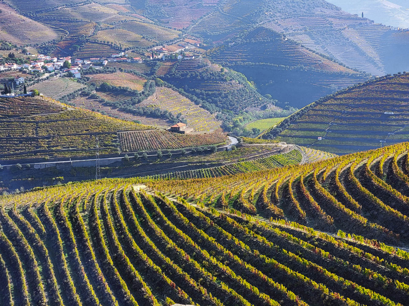 Douro Valley Wine Region