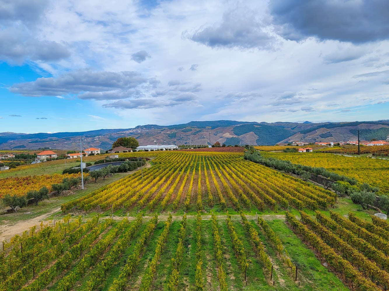 Winery on a Hilltop in the Douro