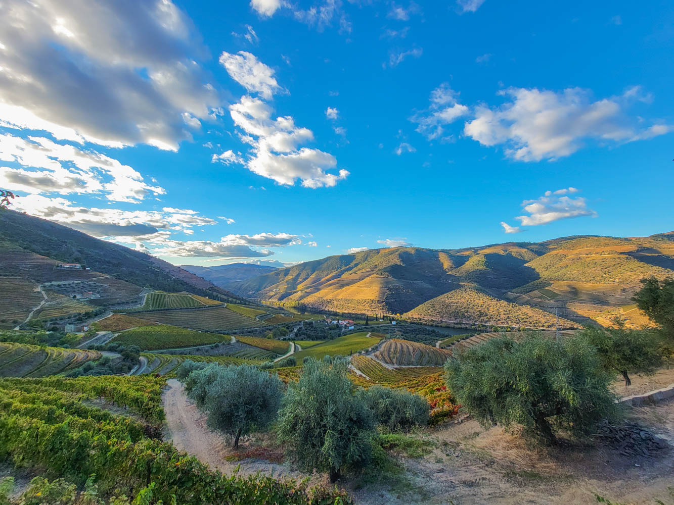 View from a Quinta in the Douro Valley