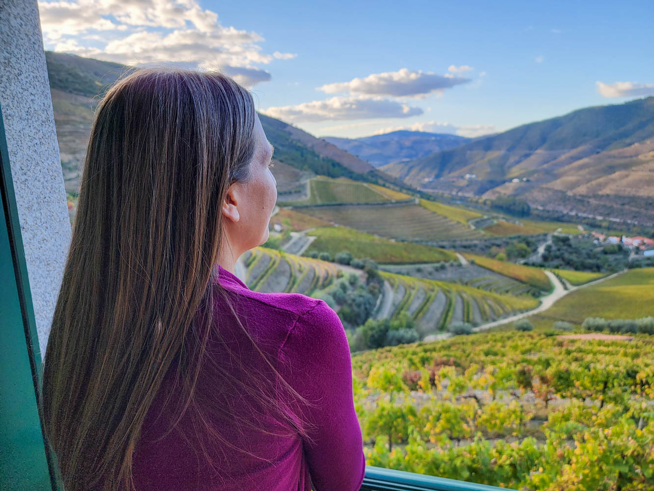 View from a Quinta in the Douro Valley