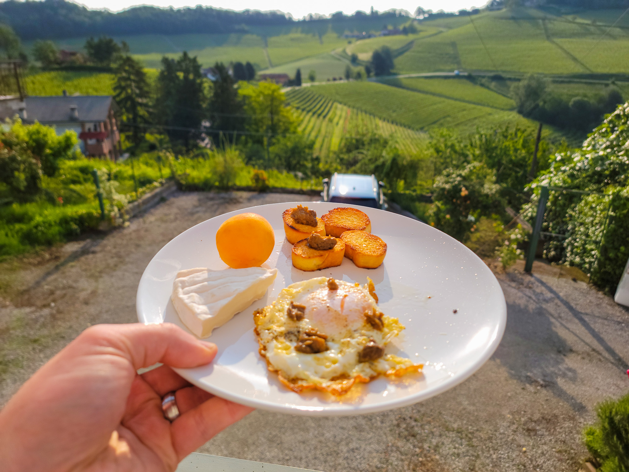 View from Apartment in Barolo