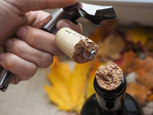 What to Do if Your Cork Breaks When Opening Wine