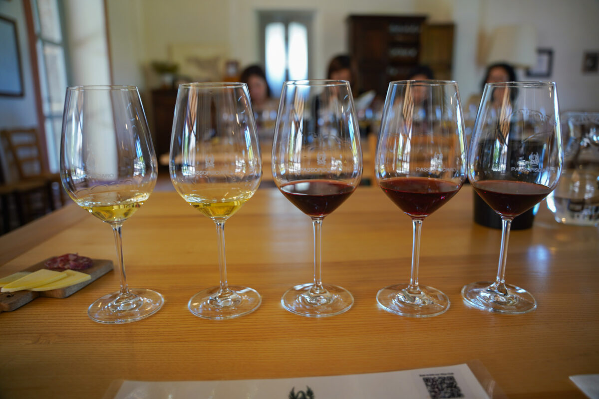 Wine Tasting in Sicily