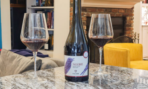 Fautor Winery Negre 2016 – A Stunning Aged Moldovan Red