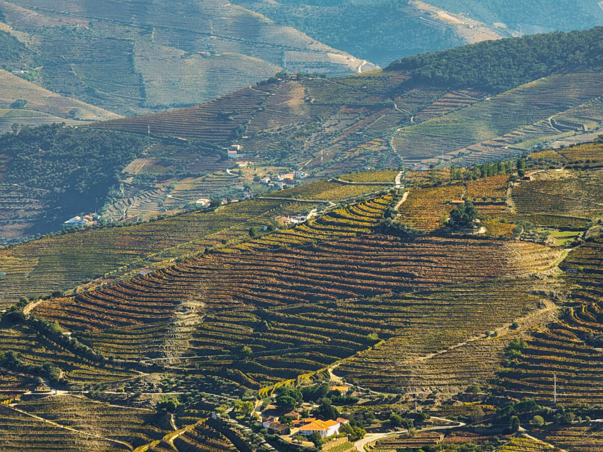 Douro Valley