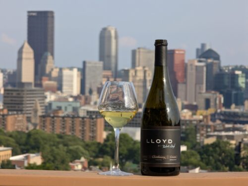 Lloyd Cellars Chardonnay 2023 Review – Balanced Oak and Malo