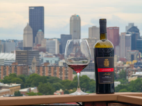 Cantina Levorato Merlot 2022 Review – Bright and Fruity