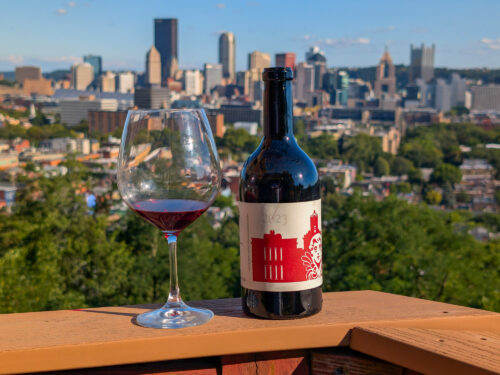 COS Frappato 2023 Review – Light Red for a Hot Summer Day
