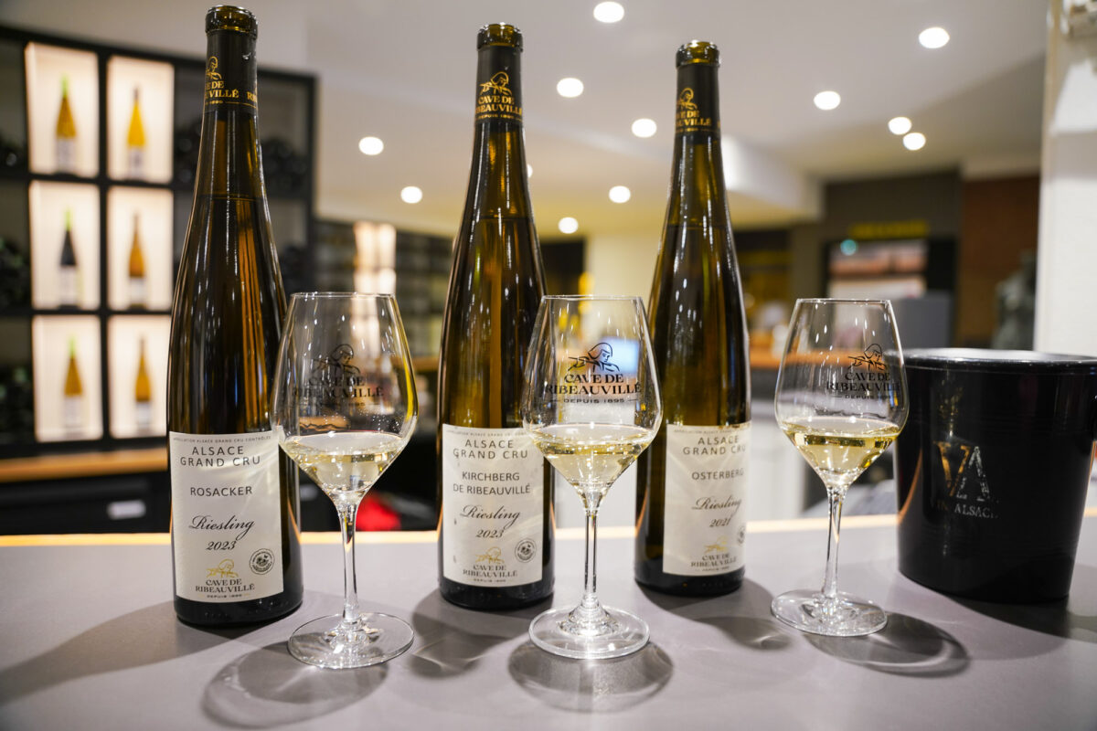 Cave du Ribeauville Tasting Cave du Ribeauville Tasting