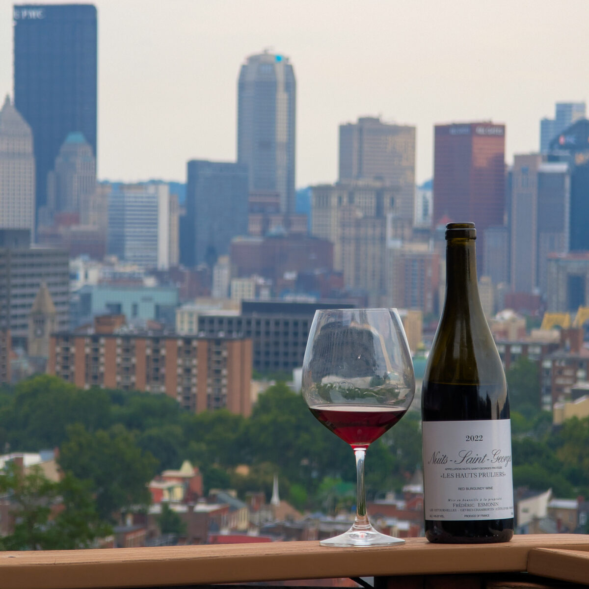 Nuits St George Pinot Nuits St George Pinot