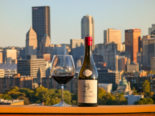 Casal das Aires Alicante Bouschet 2022 Review – Approachable